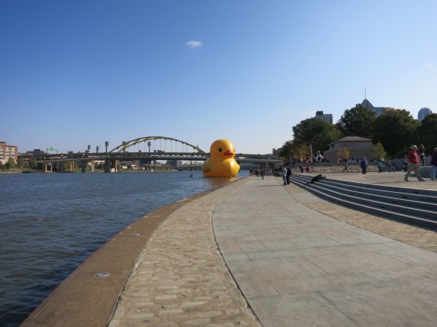 20131018-140512.jpg