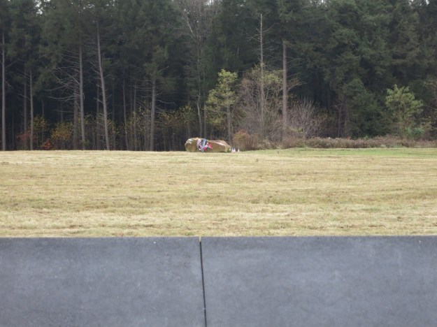 20131025-154704.jpg