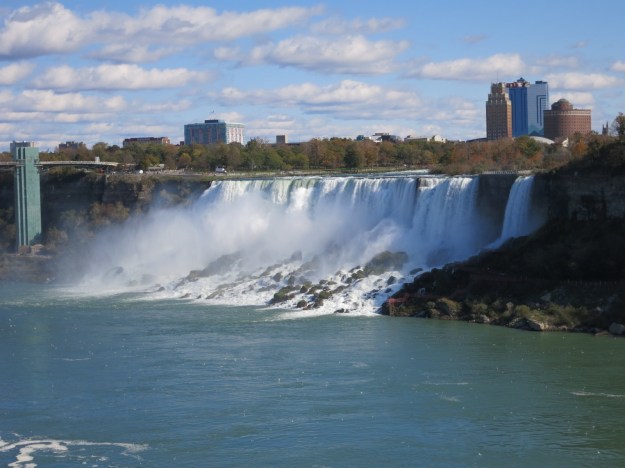 20131029-174655.jpg