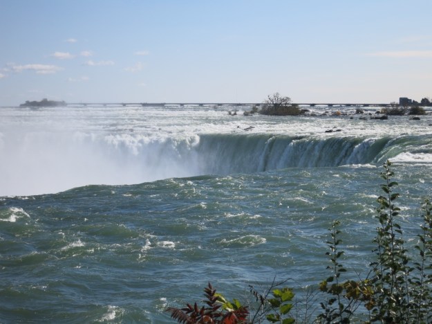 20131029-174745.jpg