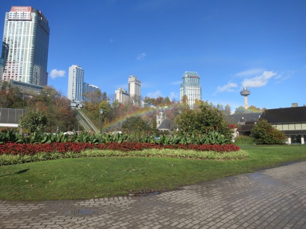 20131029-174826.jpg