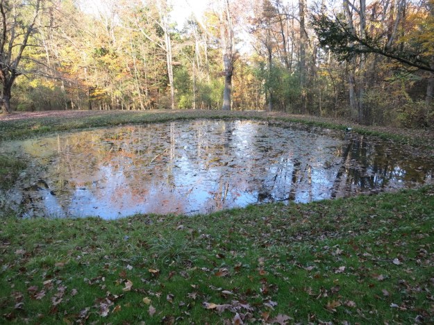 20131030-182156.jpg