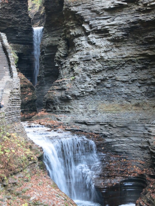 20131030-182316.jpg