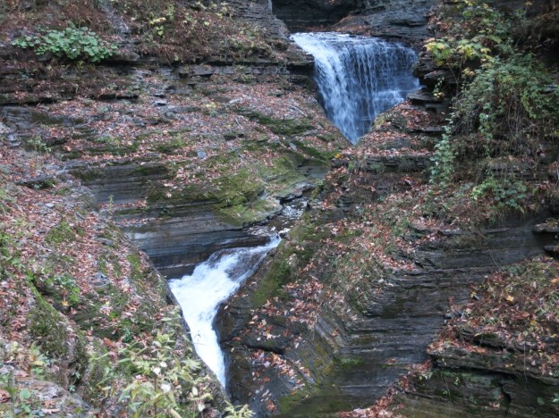 20131030-182335.jpg