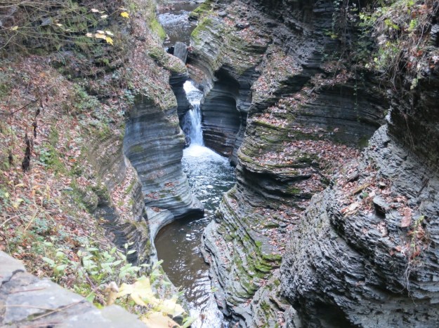 20131030-182440.jpg