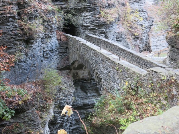 20131030-182449.jpg