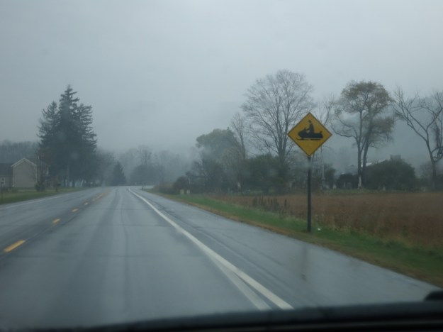 20131031-192613.jpg