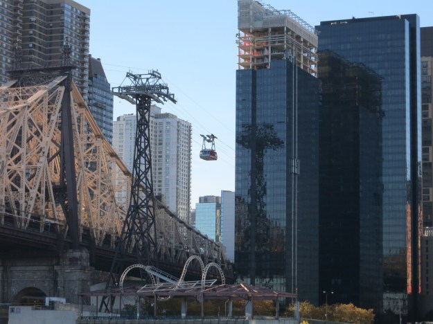 20131105-001852.jpg