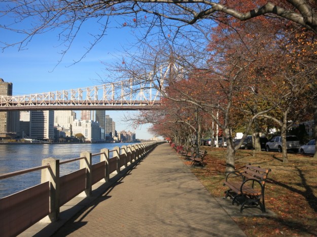 20131105-001910.jpg