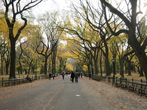 20131105-185737.jpg