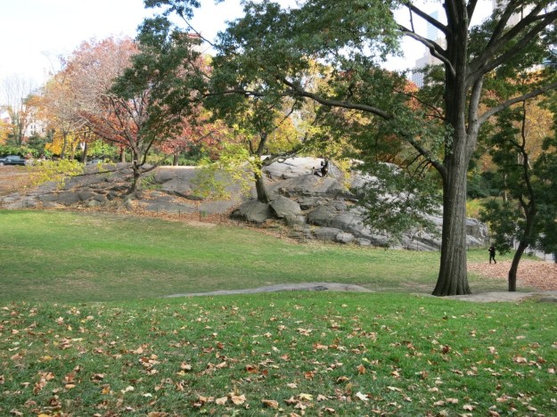 20131105-185814.jpg