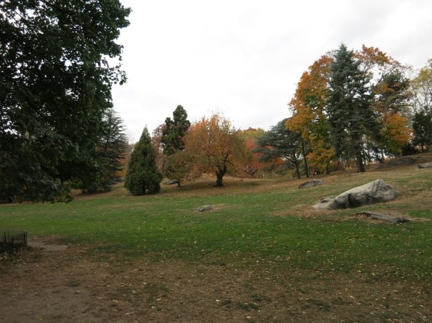 20131105-185858.jpg