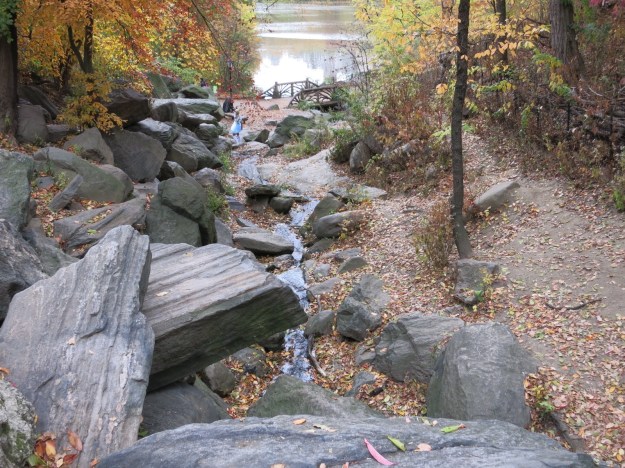 20131105-185939.jpg
