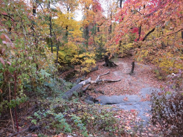 20131105-185947.jpg