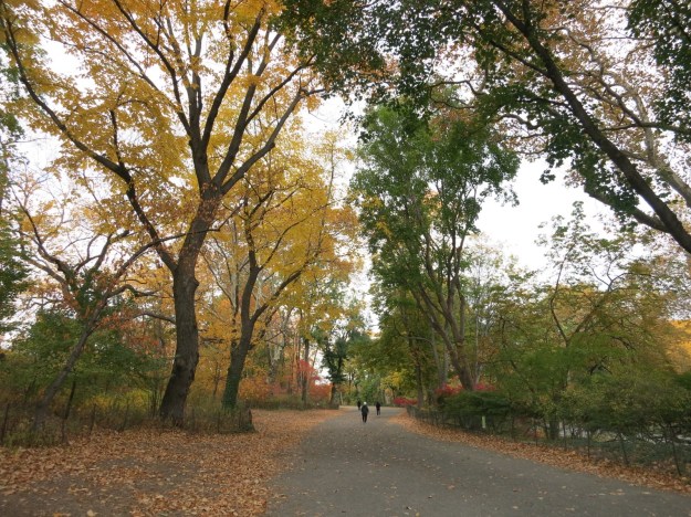 20131105-190048.jpg