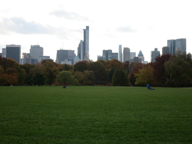 20131105-190120.jpg