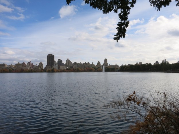 20131105-190144.jpg
