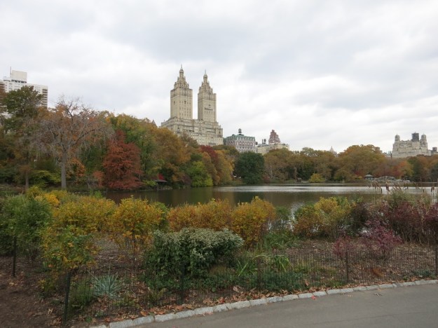 20131105-190157.jpg