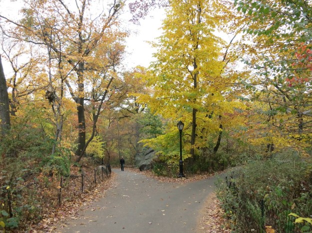20131105-190234.jpg