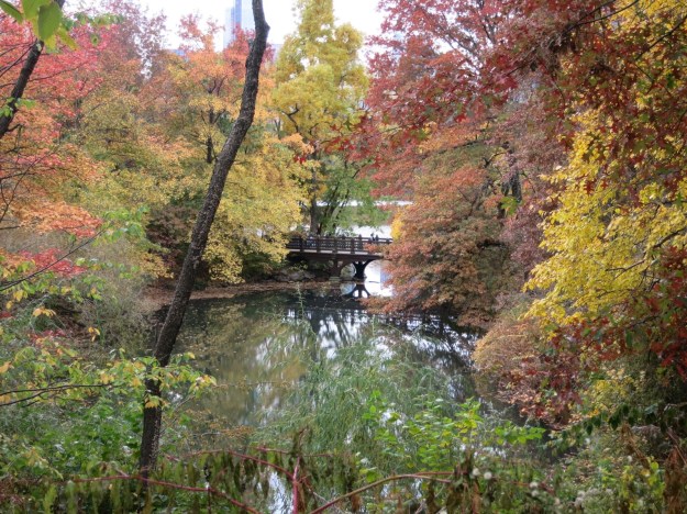 20131105-190244.jpg