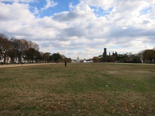 20131108-233408.jpg
