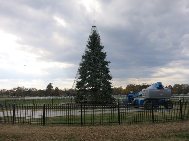 20131108-234025.jpg