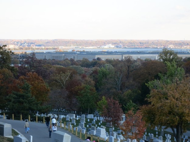 20131109-000306.jpg